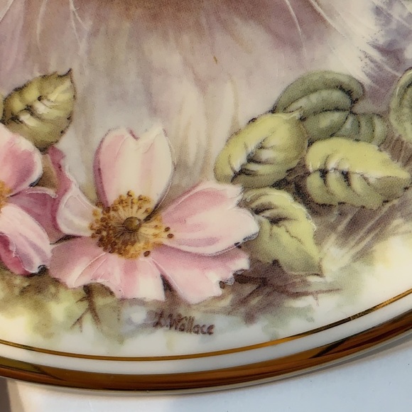 Royal Kent Bone China Cat Collectors Plate - Picture 4 of 7